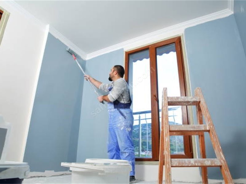 Şakran Boya Badanacı